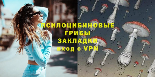 ECSTASY Алексин