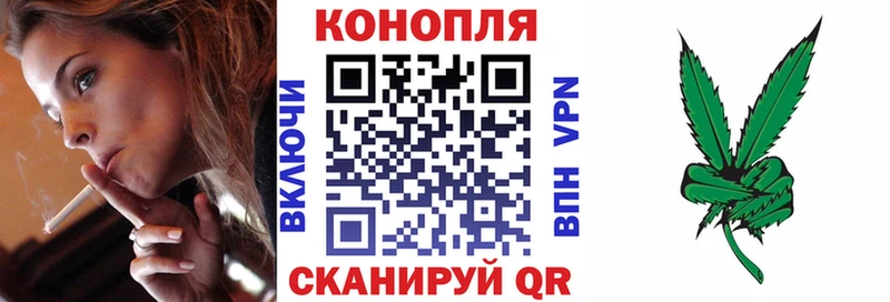 Шишки марихуана конопля  продажа наркотиков  Выкса 